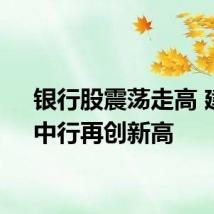 银行股震荡走高 建行、中行再创新高