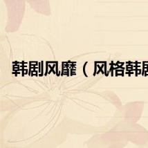 韩剧风靡（风格韩剧）