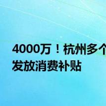 4000万!杭州多个城区发放消费补贴