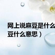 网上说麻豆是什么（麻豆什么意思）