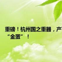 重磅！杭州国之重器，产下首枚“金蛋”！