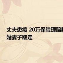 丈夫患癌 20万保险理赔款被再婚妻子取走