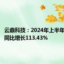 云鼎科技:2024年上半年净利润同比增长113.43%