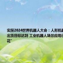 实探2024世界机器人大会：人形机器人小批量出货目标达到 工业机器人场景应用已“遍地开花”