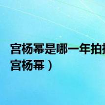 宫杨幂是哪一年拍摄的（宫杨幂）