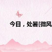今日，处暑[微风]