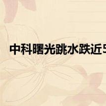 中科曙光跳水跌近5%