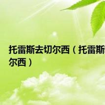 托雷斯去切尔西(托雷斯转会切尔西)