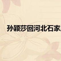 孙颖莎回河北石家庄
