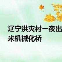 辽宁洪灾村一夜出现51米机械化桥