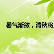 暑气渐敛，清秋将至
