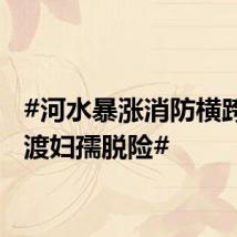 #河水暴涨消防横跨激流渡妇孺脱险#
