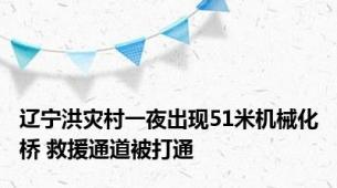 辽宁洪灾村一夜出现51米机械化桥 救援通道被打通