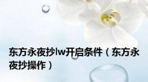 东方永夜抄lw开启条件（东方永夜抄操作）