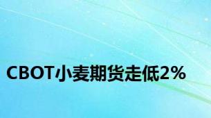 CBOT小麦期货走低2%