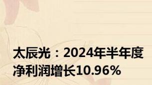 太辰光：2024年半年度净利润增长10.96%