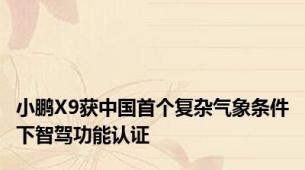 小鹏X9获中国首个复杂气象条件下智驾功能认证