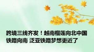 跨境三线齐发！越南榴莲向北中国铁路向南 泛亚铁路梦想更近了