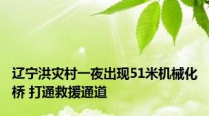 辽宁洪灾村一夜出现51米机械化桥 打通救援通道