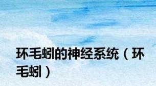 环毛蚓的神经系统（环毛蚓）