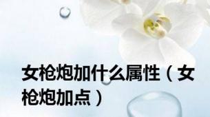 女枪炮加什么属性（女枪炮加点）