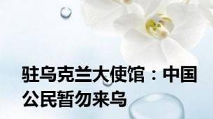 驻乌克兰大使馆：中国公民暂勿来乌