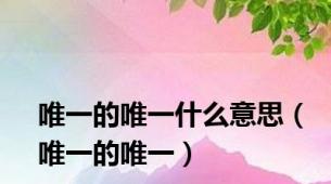 唯一的唯一什么意思（唯一的唯一）