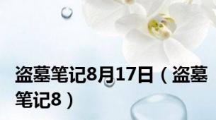 盗墓笔记8月17日（盗墓笔记8）