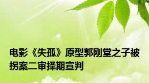 电影《失孤》原型郭刚堂之子被拐案二审择期宣判
