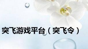 突飞游戏平台（突飞令）