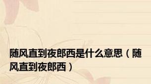 随风直到夜郎西是什么意思（随风直到夜郎西）