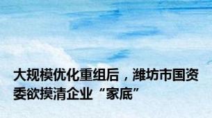 大规模优化重组后，潍坊市国资委欲摸清企业“家底”