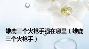 雄鹿三个火枪手强在哪里（雄鹿三个火枪手）