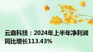 云鼎科技：2024年上半年净利润同比增长113.43%