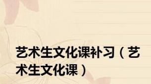 艺术生文化课补习（艺术生文化课）