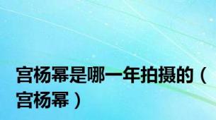宫杨幂是哪一年拍摄的（宫杨幂）