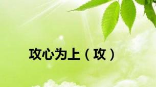 攻心为上（攻）