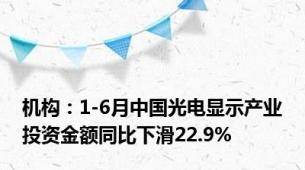 机构：1-6月中国光电显示产业投资金额同比下滑22.9%