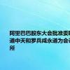 阿里巴巴股东大会批准委聘普华永道中天和罗兵咸永道为会计师事务所