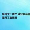 硅片大厂减产 硅业分会罕见未披露开工率情况