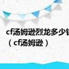 cf汤姆逊烈龙多少钱一把（cf汤姆逊）