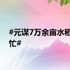 #元谋7万余亩水稻收割忙#