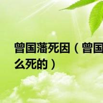 曾国藩死因（曾国藩怎么死的）