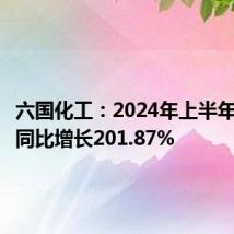 六国化工:2024年上半年净利润同比增长201.87%
