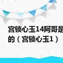 宫锁心玉14阿哥是谁演的（宫锁心玉1）