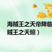 海贼王之天帝降临（海贼王之天照）