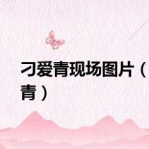 刁爱青现场图片（刁爱青）