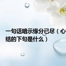 一句话暗示缘分已尽（心有千千结的下句是什么）