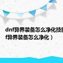 dnf异界装备怎么净化技能（dnf异界装备怎么净化）