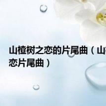 山楂树之恋的片尾曲（山楂树之恋片尾曲）